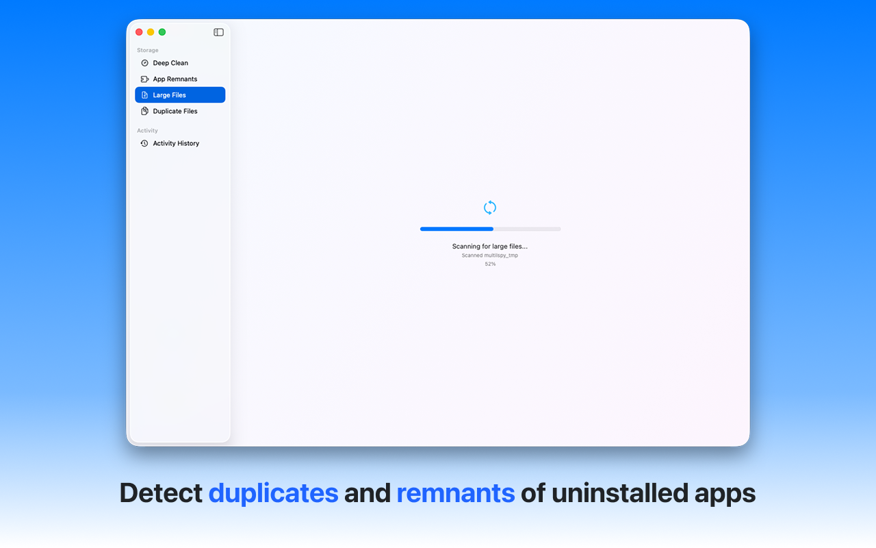 DiskMaid Large Files Scan - Find what's taking up space